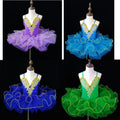 Colors professional ballet tutu dress girl dance costume child Performance ballerinas tutu kids child Carnival Jazz dance dress Sarah Houston