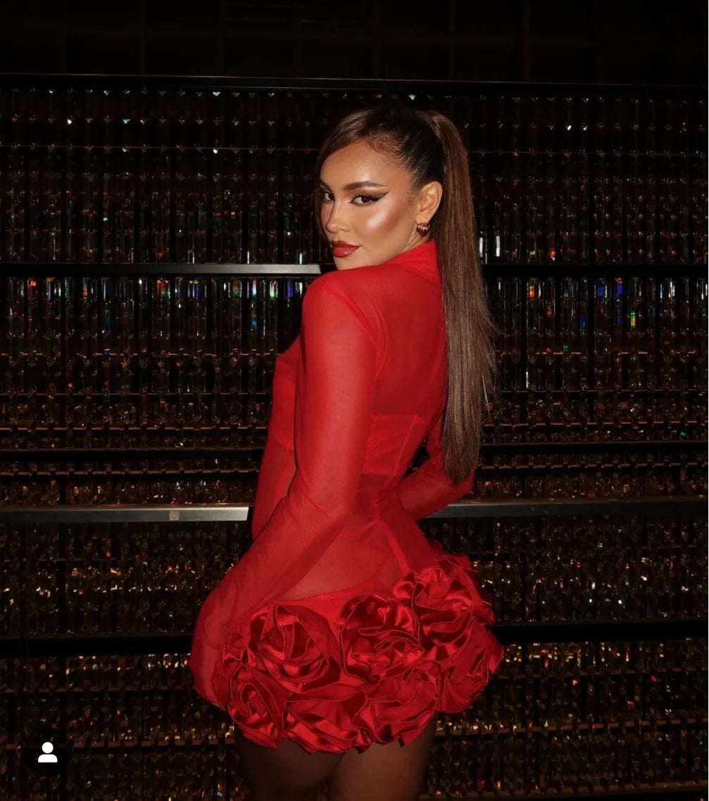 Women Long Sleeve Sexy Mesh See Through Florals Ball Gown Mini Bandage Dress Nightclub Party Celebrate Performance Stage Wear