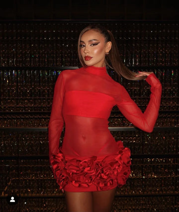 Women Long Sleeve Sexy Mesh See Through Florals Ball Gown Mini Bandage Dress Nightclub Party Celebrate Performance Stage Wear