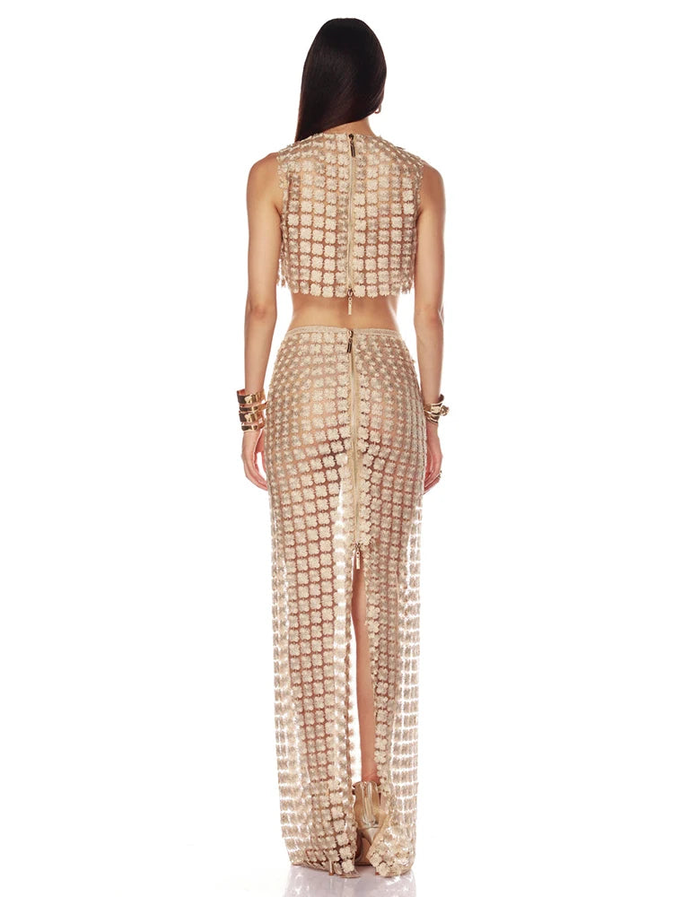 VC Stylish Beige Sleeveless Cropped Top & Sheer Skirt Set with Zipper for Festival & Party Chic Dress Gown