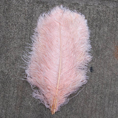 Fluffy Pink Ostrich Feathers 50cm Long for Wedding Party Home Tablecenter Decor Needlework Accessories Crafts Plume  Wholesale