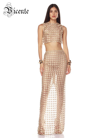 VC Stylish Beige Sleeveless Cropped Top & Sheer Skirt Set with Zipper for Festival & Party Chic Dress Gown