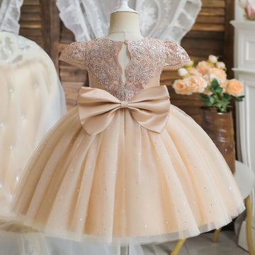 Baby Girls Sequin Embroidery Tutu Dress Kids Birthday Party Princess Dress Ball Gown Luxury Dress Baby Girls Baptism Costumes